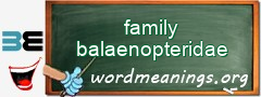 WordMeaning blackboard for family balaenopteridae